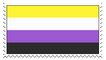 nonbinary flag